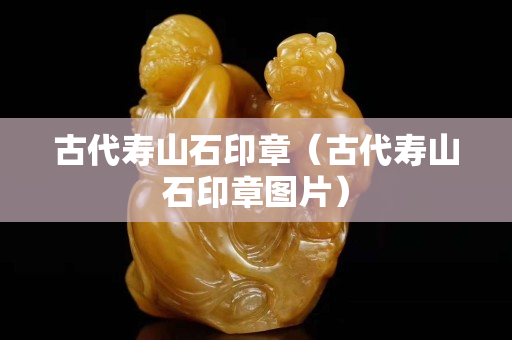 古代寿山石印章（古代寿山石印章图片）