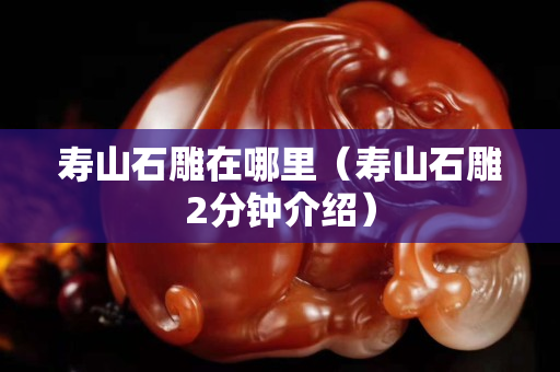 寿山石雕在哪里（寿山石雕2分钟介绍）
