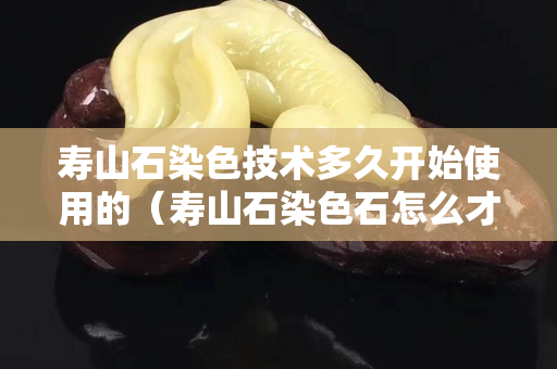 寿山石染色技术多久开始使用的（寿山石染色石怎么才能测出是染色石）