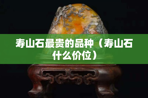 寿山石最贵的品种（寿山石什么价位）