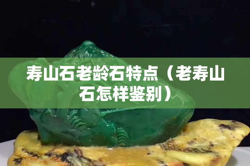 寿山石老龄石特点（老寿山石怎样鉴别）