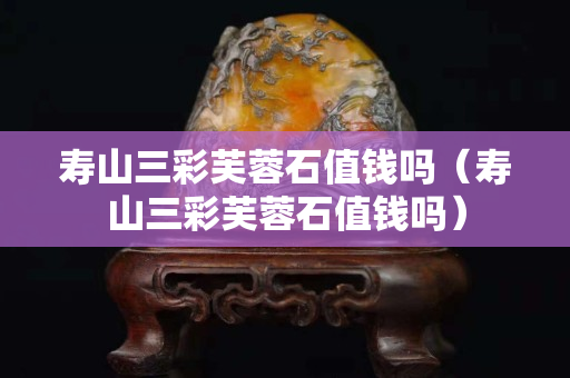 寿山三彩芙蓉石值钱吗（寿山三彩芙蓉石值钱吗）