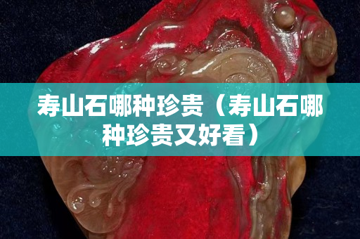 寿山石哪种珍贵（寿山石哪种珍贵又好看）