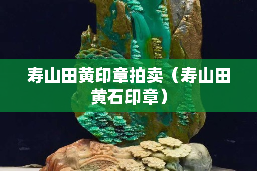 寿山田黄印章拍卖（寿山田黄石印章）
