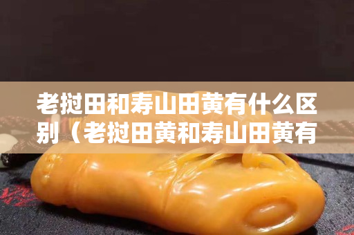 老挝田和寿山田黄有什么区别（老挝田黄和寿山田黄有什么不一样）
