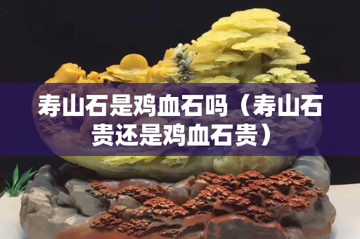 寿山石是鸡血石吗（寿山石贵还是鸡血石贵）