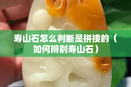 寿山石怎么判断是拼接的（如何辨别寿山石）