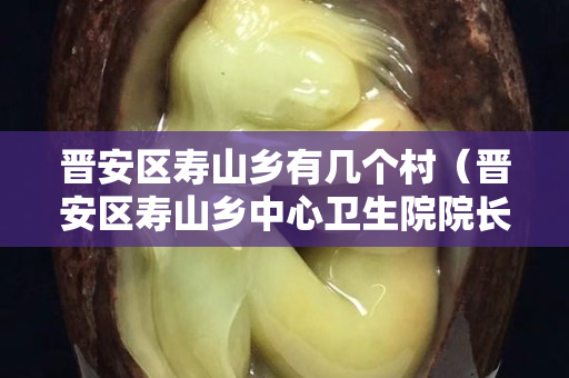 晋安区寿山乡有几个村（晋安区寿山乡中心卫生院院长）