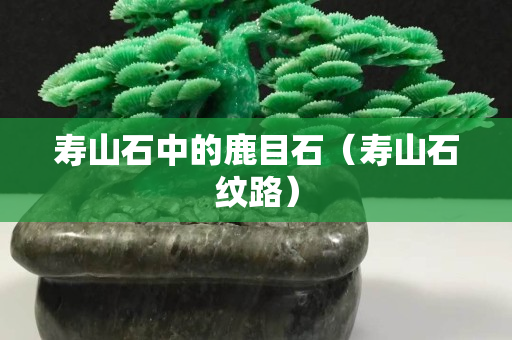 寿山石中的鹿目石（寿山石纹路）