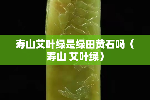 寿山艾叶绿是绿田黄石吗（寿山 艾叶绿）