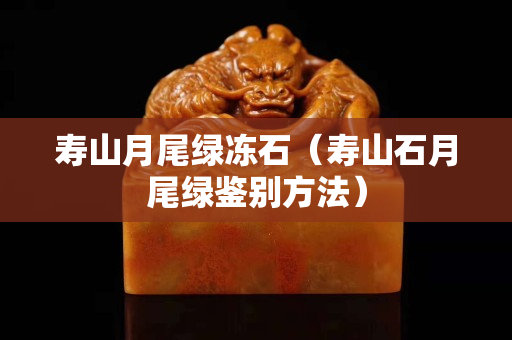 寿山月尾绿冻石（寿山石月尾绿鉴别方法）