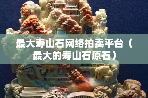 最大寿山石网络拍卖平台（最大的寿山石原石）