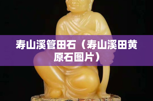 寿山溪管田石（寿山溪田黄原石图片）