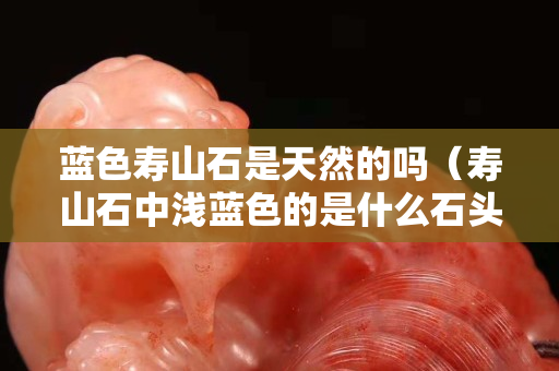 蓝色寿山石是天然的吗（寿山石中浅蓝色的是什么石头）