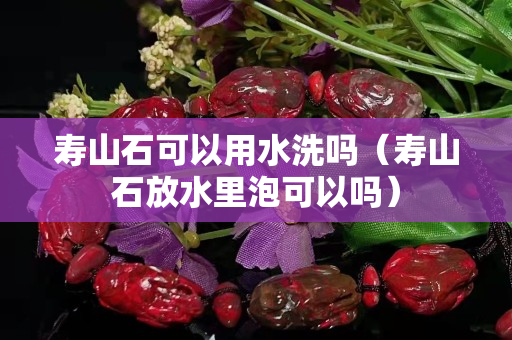 寿山石可以用水洗吗（寿山石放水里泡可以吗）