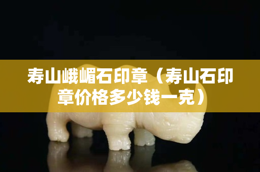 寿山峨嵋石印章（寿山石印章价格多少钱一克）