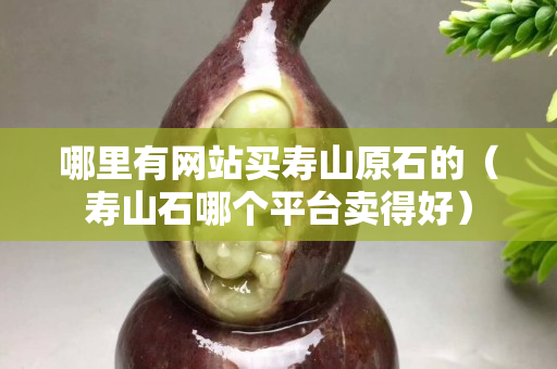 哪里有网站买寿山原石的（寿山石哪个平台卖得好）