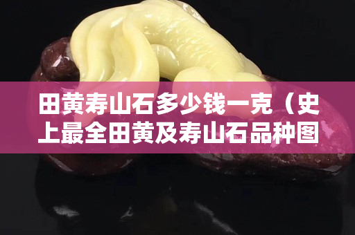 田黄寿山石多少钱一克（史上最全田黄及寿山石品种图解）