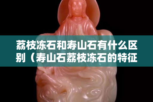 荔枝冻石和寿山石有什么区别（寿山石荔枝冻石的特征）