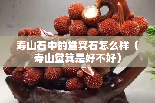 寿山石中的鲎箕石怎么样（寿山鲎箕是好不好）