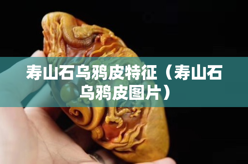 寿山石乌鸦皮特征（寿山石乌鸦皮图片）