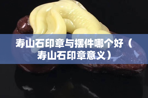 寿山石印章与摆件哪个好（寿山石印章意义）