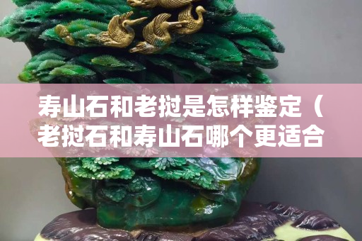 寿山石和老挝是怎样鉴定（老挝石和寿山石哪个更适合刻章）