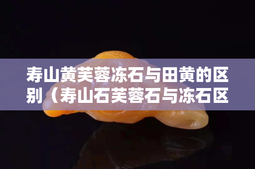 寿山黄芙蓉冻石与田黄的区别（寿山石芙蓉石与冻石区别）