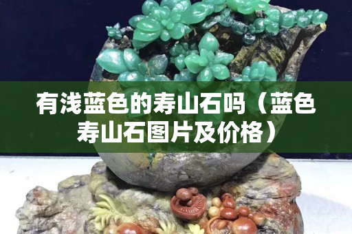 有浅蓝色的寿山石吗（蓝色寿山石图片及价格）