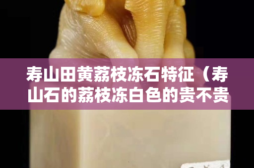 寿山田黄荔枝冻石特征（寿山石的荔枝冻白色的贵不贵）