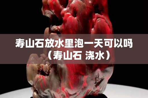 寿山石放水里泡一天可以吗（寿山石 浇水）