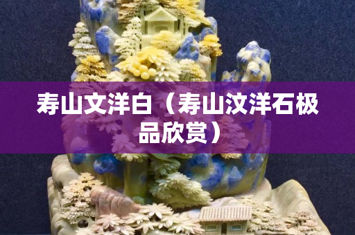 寿山文洋白（寿山汶洋石极品欣赏）
