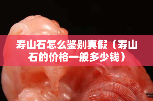 寿山石怎么鉴别真假（寿山石的价格一般多少钱）