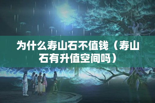 为什么寿山石不值钱（寿山石有升值空间吗）