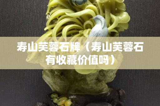 寿山芙蓉石牌（寿山芙蓉石有收藏价值吗）
