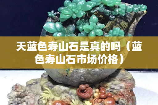 天蓝色寿山石是真的吗（蓝色寿山石市场价格）