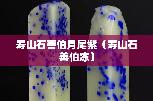 寿山石善伯月尾紫（寿山石善伯冻）