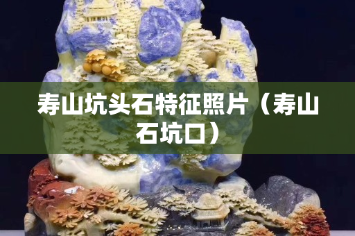寿山坑头石特征照片（寿山石坑口）