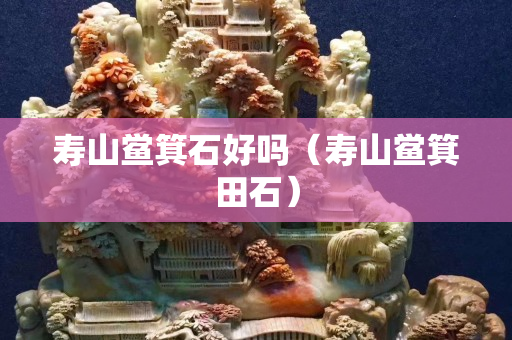 寿山鲎箕石好吗（寿山鲎箕田石）
