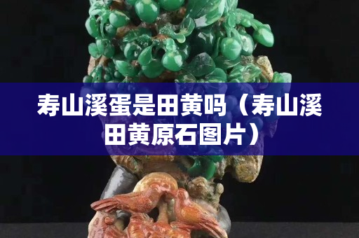 寿山溪蛋是田黄吗（寿山溪田黄原石图片）