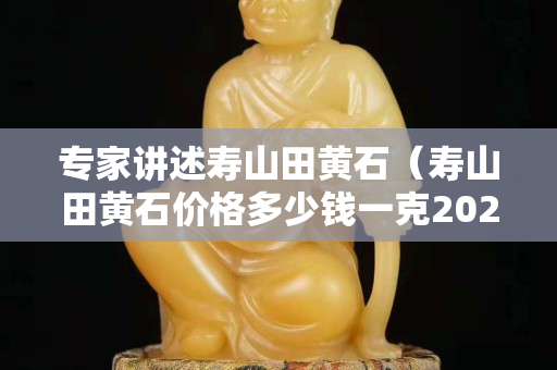 专家讲述寿山田黄石（寿山田黄石价格多少钱一克2020）