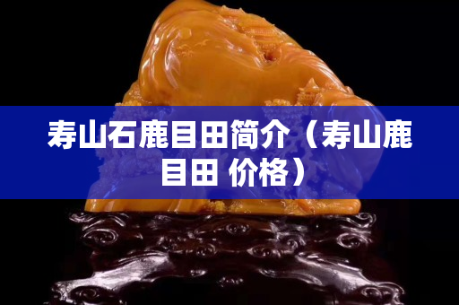 寿山石鹿目田简介（寿山鹿目田 价格）