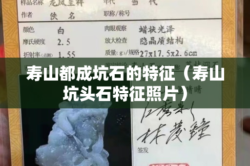 寿山都成坑石的特征（寿山坑头石特征照片）