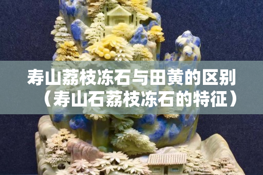 寿山荔枝冻石与田黄的区别（寿山石荔枝冻石的特征）