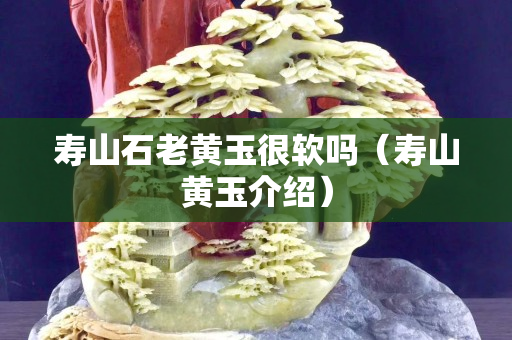 寿山石老黄玉很软吗（寿山黄玉介绍）