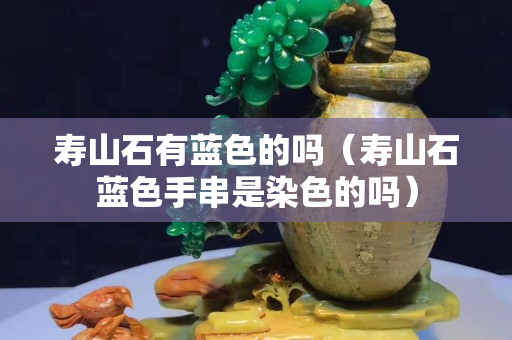 寿山石有蓝色的吗（寿山石蓝色手串是染色的吗）