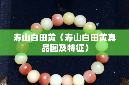 寿山白田黄（寿山白田黄真品图及特征）