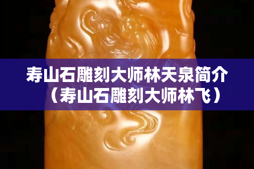 寿山石雕刻大师林天泉简介（寿山石雕刻大师林飞）