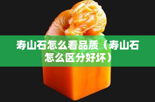 寿山石怎么看品质（寿山石怎么区分好坏）