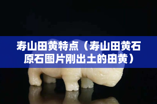 寿山田黄特点（寿山田黄石原石图片刚出土的田黄）